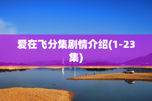 爱在飞分集剧情介绍(1-23集)