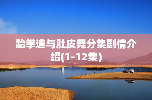 跆拳道与肚皮舞分集剧情介绍(1-12集)