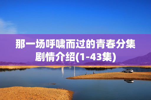 那一场呼啸而过的青春分集剧情介绍(1-43集)