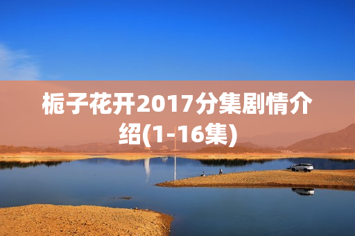 栀子花开2017分集剧情介绍(1-16集) 栀子花开2017分集剧情介绍(1-16集)