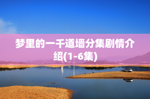 梦里的一千道墙分集剧情介绍(1-6集)