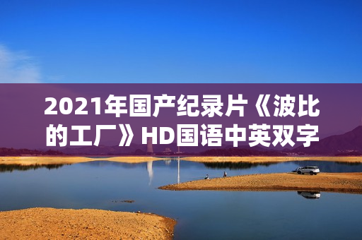 2021年国产纪录片《波比的工厂》HD国语中英双字