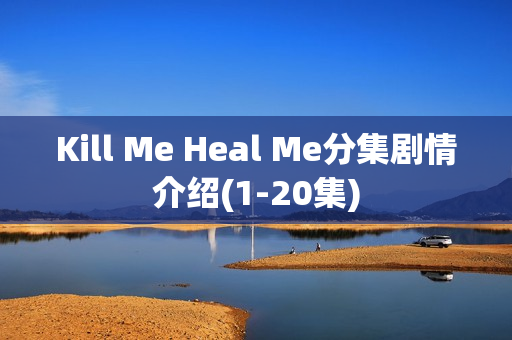 Kill Me Heal Me分集剧情介绍(1-20集)