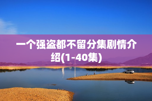 一个强盗都不留分集剧情介绍(1-40集) 一个强盗都不留分集剧情介绍(1-40集)