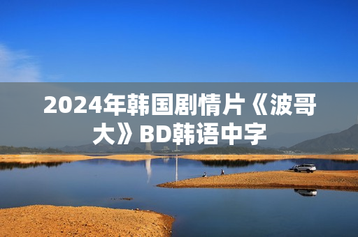 2024年韩国剧情片《波哥大》BD韩语中字 2024年韩国剧情片《波哥大》BD韩语中字