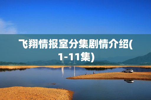 飞翔情报室分集剧情介绍(1-11集)