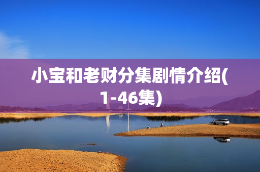 小宝和老财分集剧情介绍(1-46集)