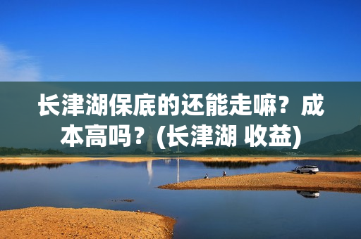 长津湖保底的还能走嘛？成本高吗？(长津湖 收益)