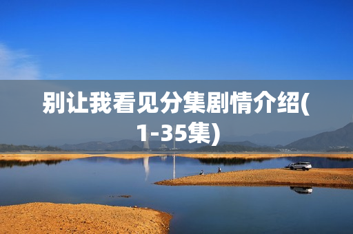 别让我看见分集剧情介绍(1-35集)