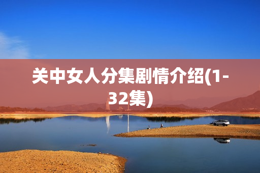 关中女人分集剧情介绍(1-32集) 关中女人分集剧情介绍(1-32集)