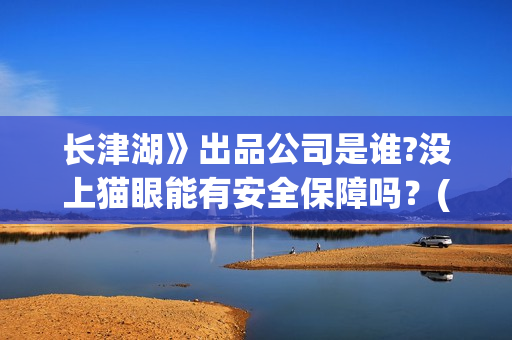 长津湖》出品公司是谁?没上猫眼能有安全保障吗？(长津湖的出品人)