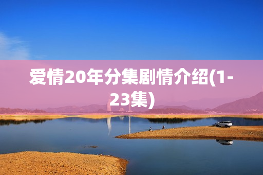 爱情20年分集剧情介绍(1-23集) 爱情20年分集剧情介绍(1-23集)