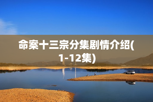 命案十三宗分集剧情介绍(1-12集)
