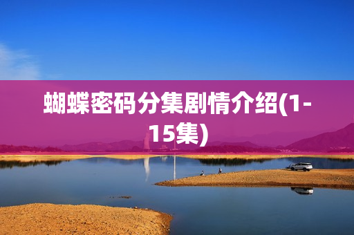 蝴蝶密码分集剧情介绍(1-15集)