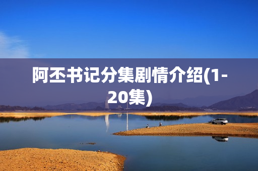 阿丕书记分集剧情介绍(1-20集)