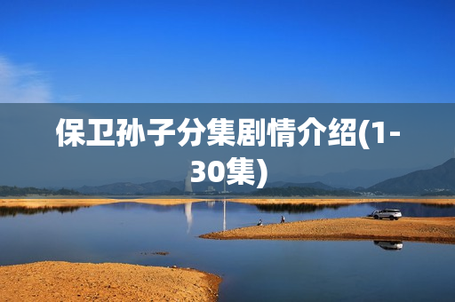 保卫孙子分集剧情介绍(1-30集)