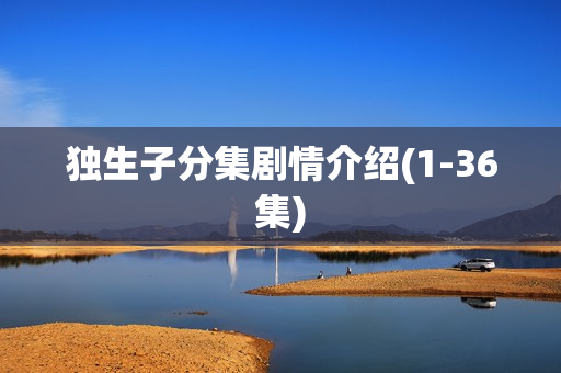 独生子分集剧情介绍(1-36集)