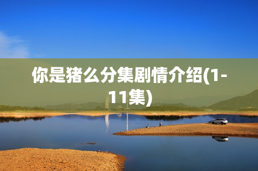 你是猪么分集剧情介绍(1-11集)