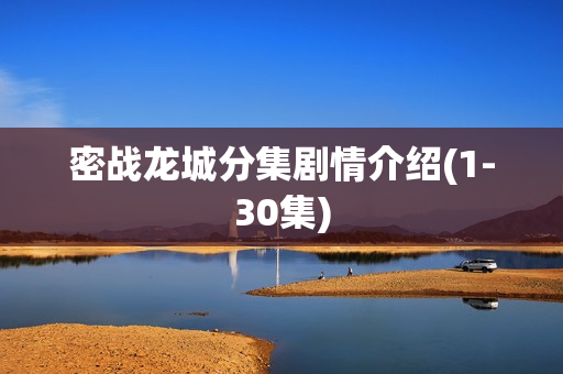 密战龙城分集剧情介绍(1-30集)