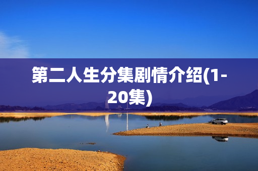 第二人生分集剧情介绍(1-20集) 第二人生分集剧情介绍(1-20集)