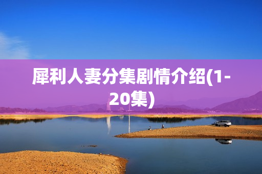 犀利人妻分集剧情介绍(1-20集)