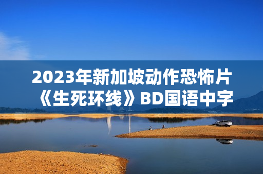 2023年新加坡动作恐怖片《生死环线》BD国语中字