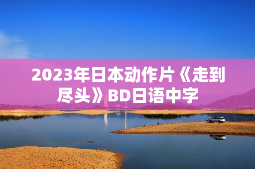 2023年日本动作片《走到尽头》BD日语中字