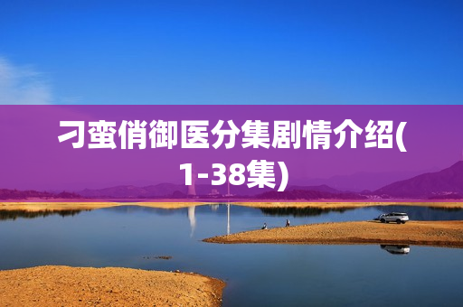 刁蛮俏御医分集剧情介绍(1-38集)