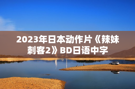 2023年日本动作片《辣妹刺客2》BD日语中字