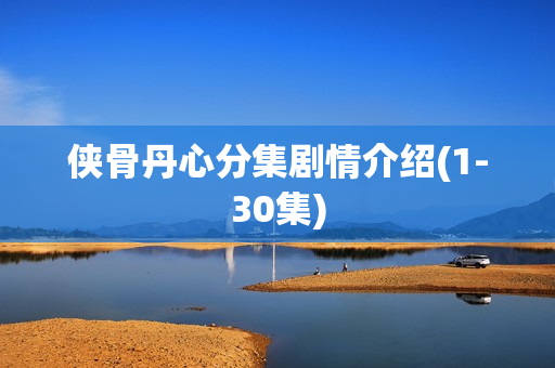 侠骨丹心分集剧情介绍(1-30集)