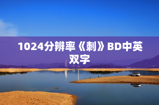 1024分辨率《刺》BD中英双字 1024分辨率《刺》BD中英双字