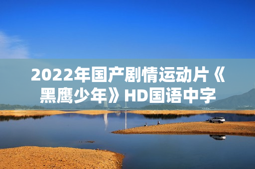 2022年国产剧情运动片《黑鹰少年》HD国语中字