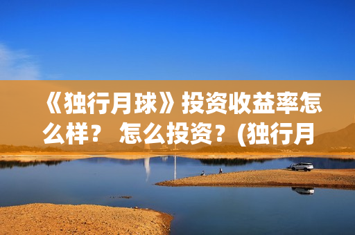 《独行月球》投资收益率怎么样？ 怎么投资？(独行月球发行方)