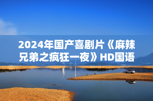 2024年国产喜剧片《麻辣兄弟之疯狂一夜》HD国语中字