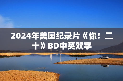 2024年美国纪录片《你！二十》BD中英双字