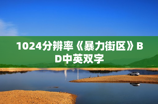 1024分辨率《暴力街区》BD中英双字
