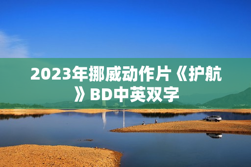 2023年挪威动作片《护航》BD中英双字