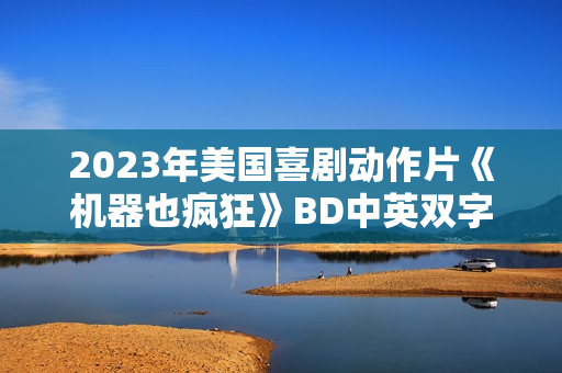 2023年美国喜剧动作片《机器也疯狂》BD中英双字