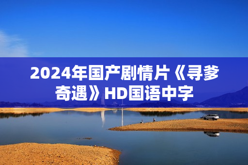 2024年国产剧情片《寻爹奇遇》HD国语中字