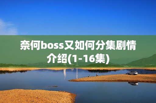 奈何boss又如何分集剧情介绍(1-16集) 奈何boss又如何分集剧情介绍(1-16集)