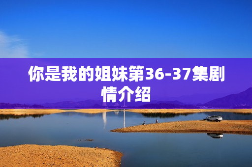 你是我的姐妹第36-37集剧情介绍