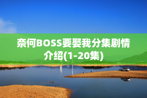 奈何BOSS要娶我分集剧情介绍(1-20集)