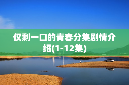 仅剩一口的青春分集剧情介绍(1-12集)