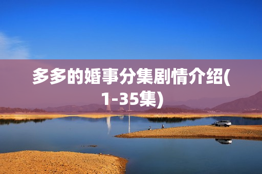 多多的婚事分集剧情介绍(1-35集)