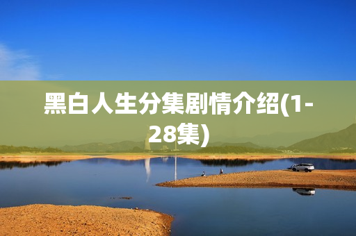 黑白人生分集剧情介绍(1-28集) 黑白人生分集剧情介绍(1-28集)
