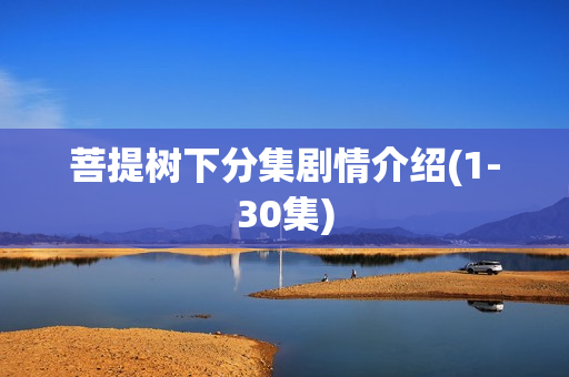 菩提树下分集剧情介绍(1-30集)