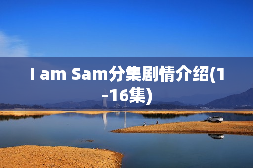 I am Sam分集剧情介绍(1-16集)