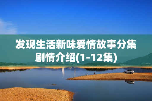 发现生活新味爱情故事分集剧情介绍(1-12集)