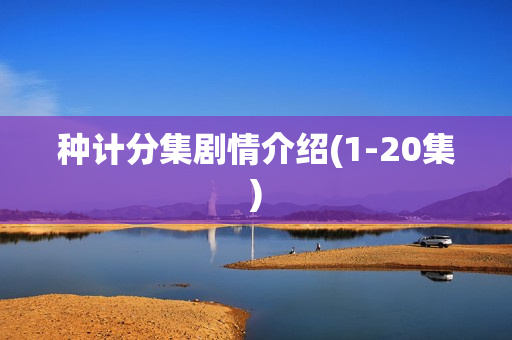 种计分集剧情介绍(1-20集)