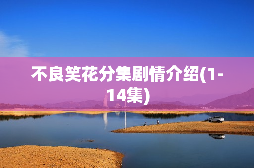 不良笑花分集剧情介绍(1-14集)